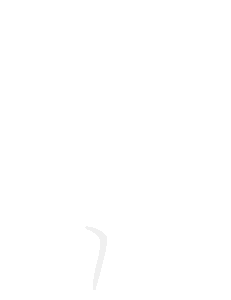 [object Object]